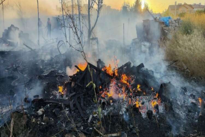 Yangında 6 köpek telef oldu