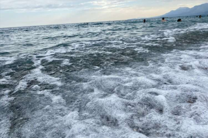 Deniz suyu sıcaklıklarındaki artış zararlı bakterilerin oluşumunu tetikliyor