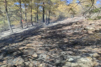 Antalya'da çıkan orman yangını kontrol altına alındı