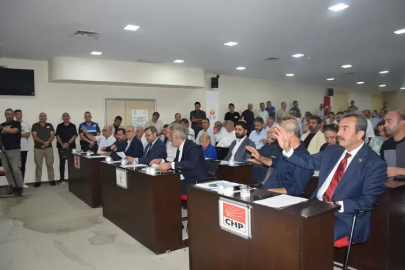 Mecliste yerel basın polemiği