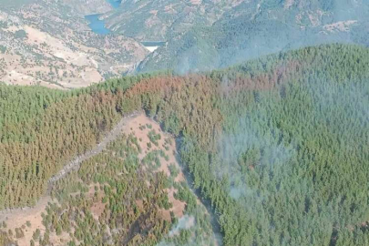 Adana’daki orman yangını kontrol altına alındı