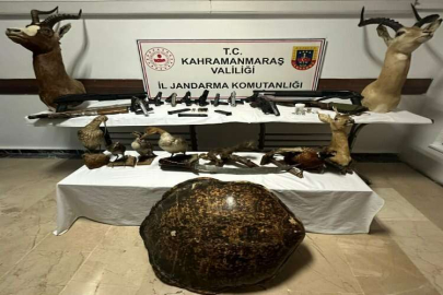 Kahramanmaraş'ta kaçakçılık operasyonunda silah ve hayvan tahnitleri ele geçirildi