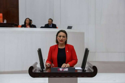 Şevkin: Savaş mağduru öğrenciler mağduriyet yaşıyor