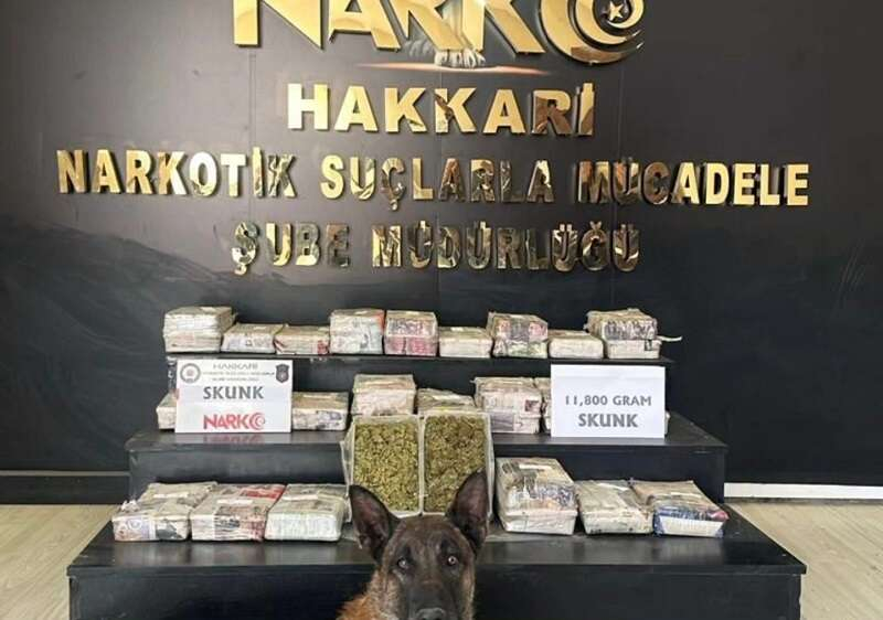 26 ilde uyuşturucu ve silah kaçakçılığı operasyonları-2