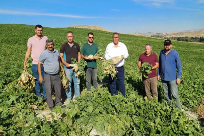 Gürer: “Pancar taban fiyatı bir an önce açıklansın”