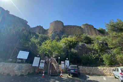 Kozan Kalesi, İsviçre’den daha fazla endemik bitki türünü barındırıyor