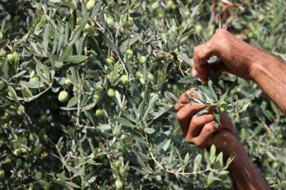 Mersin'de "2. Arnica Art Land Sanat Çalıştayı" sergisi açıldı