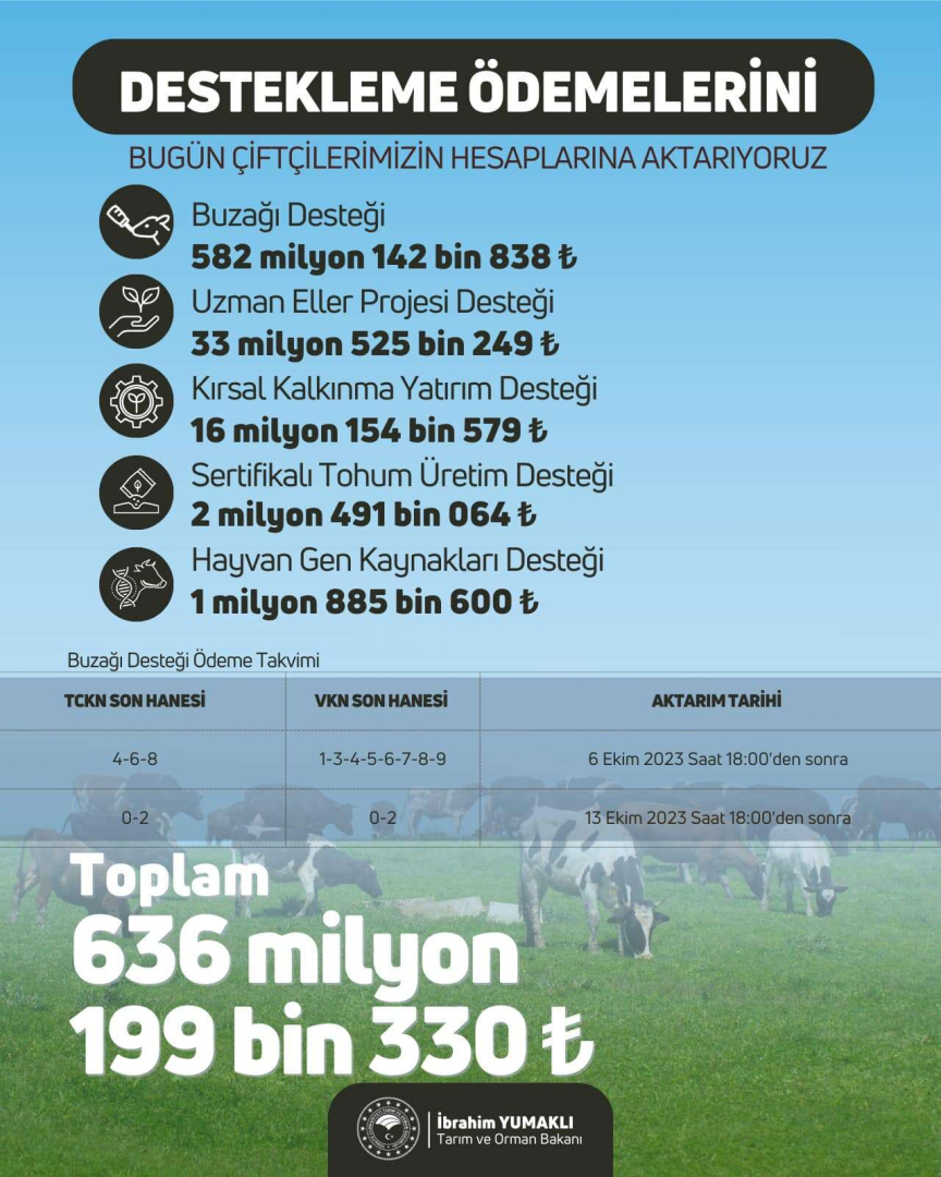 destekleme ödemeleri