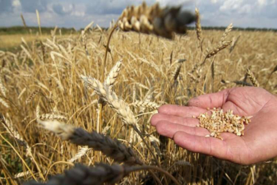 Destekleme ödemeleri hesaplara yatmaya başladı