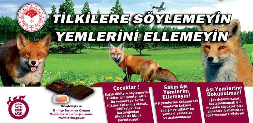 kuduza_karsi_tilki_yemi