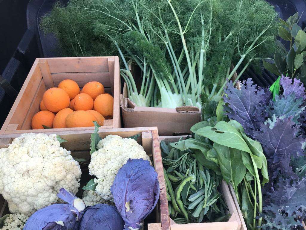 Slow Food Adana Yeryüzü Pazarı açılıyor4