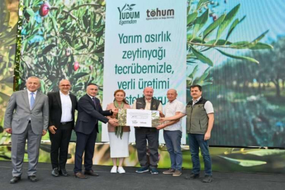 Yudum Egemden ve Tohum Derneği, yabani zeytin ağaçlarını ekonomiye kazandırmayı sürdürüyor