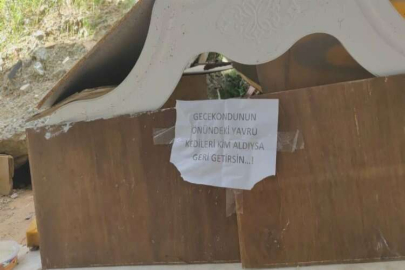 Sultangazi'de kayıp kedileri bulmak için camiden anons yapıldı