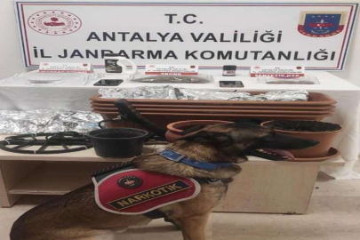 Jandarmadan "Huzurlu Sokaklar ve Narkotik Suçları" uygulaması