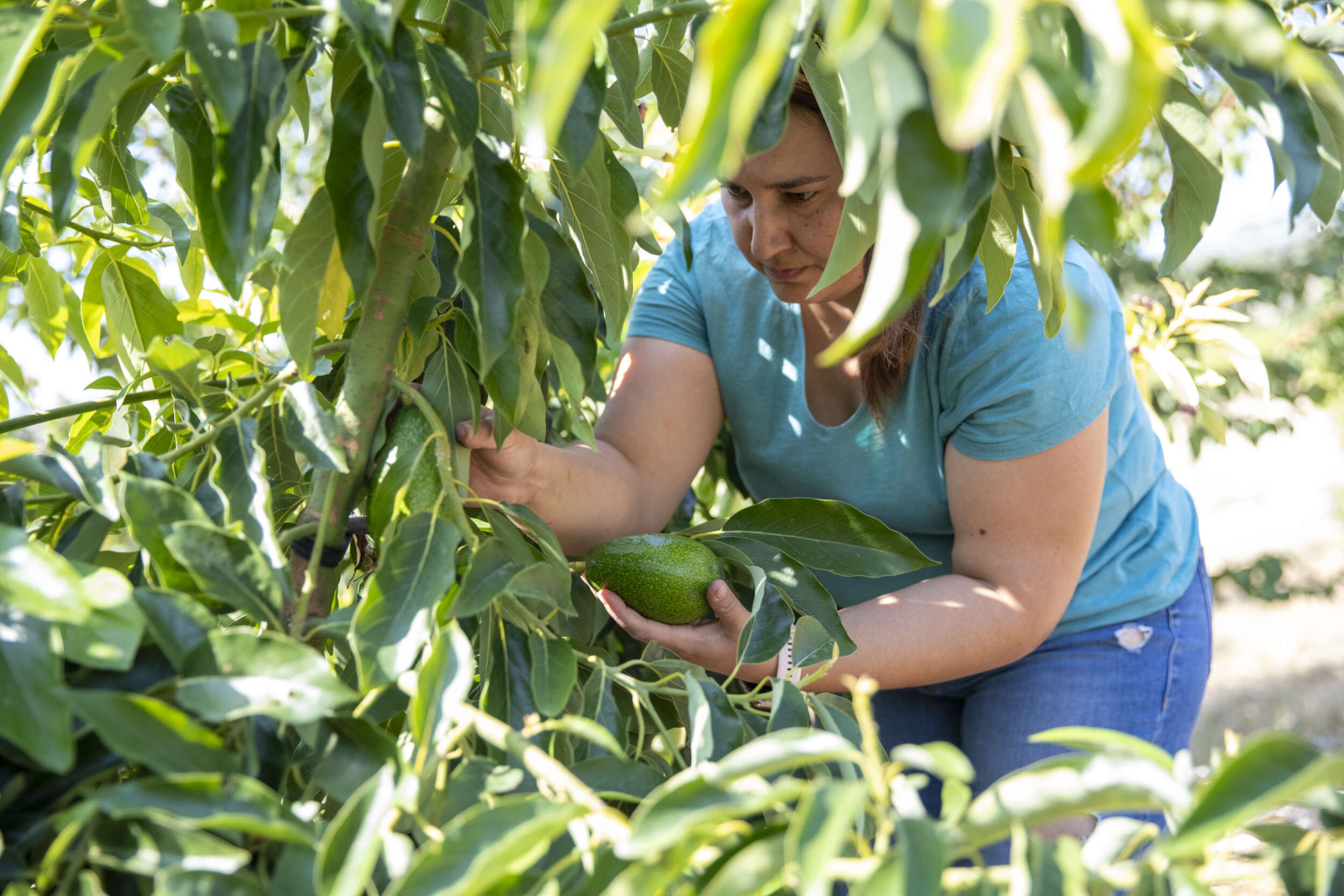 Mersinli kadınların emeği değere dönüşüyor-3