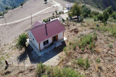 Adana’da yanan orman ve bahçeler devlet desteği ile yeniden yeşerdi