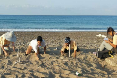 150 bin caretta caretta yavrusu denize ulaştı