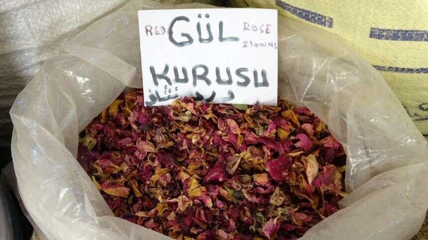 gülkurusu