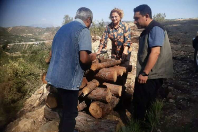 Ormandaki ağaçların zararlı böceklerden korunması çalışmaları devam ediyor