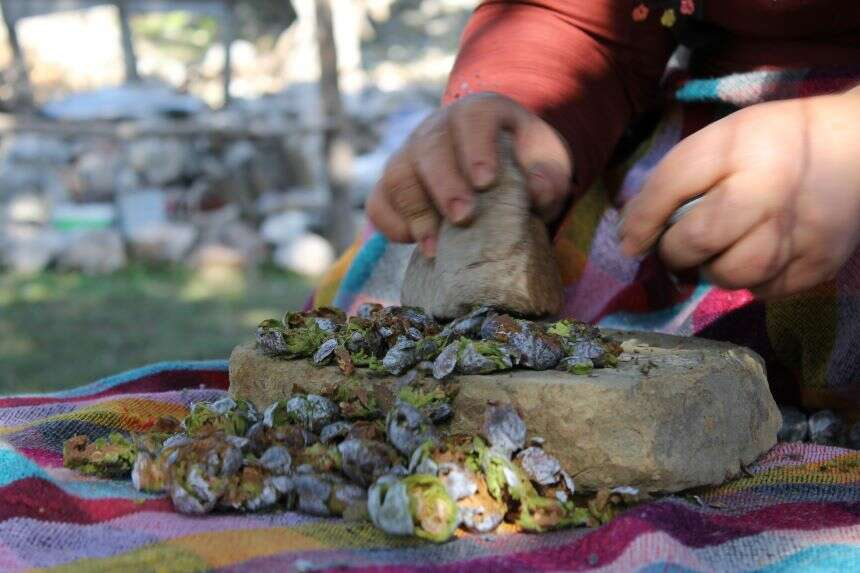 aladağandızpekmezi