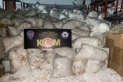 Adana’da 2 milyon 800 bin kaçak makaron ele geçirildi