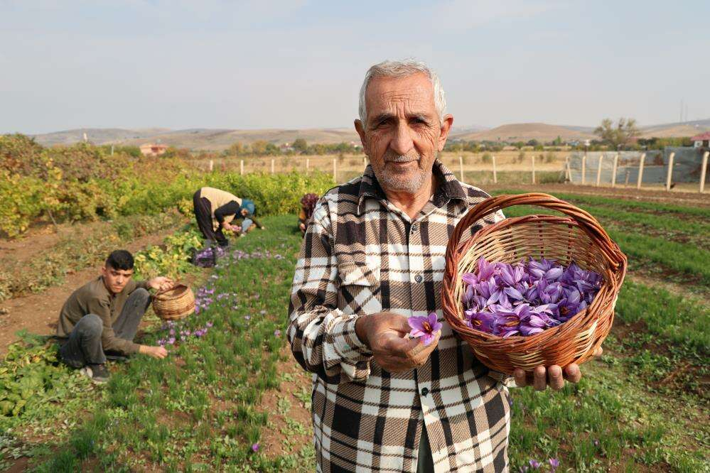 Deneme amaçlı başladı, kilosu 200 bin liraya satılıyor 7