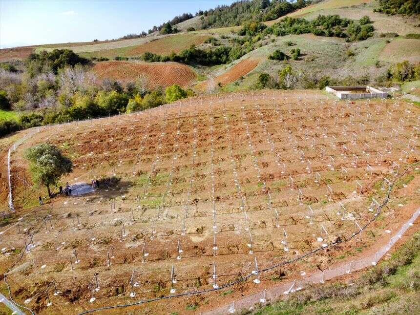 Devlet desteğiyle 19 yaşında tarıma başladı