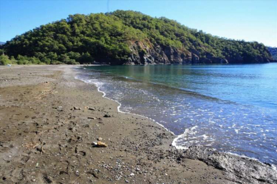 AB Türkiye Delegasyonu Başkanı'ndan BM'nin gündemindeki plastik anlaşmasına destek