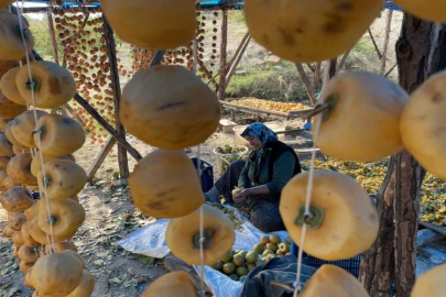 Adana'da kurutularak katma değer kazanan Trabzon hurmasında üretim artıyor
