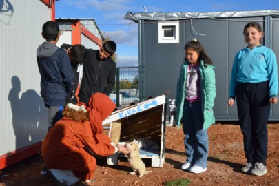 Köpek yavrusu "Kırağ", konteyner kentteki çocukların maskotu oldu