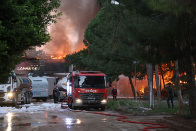 Sakarya-Bilecik’i korkutan dev yangın 24 saattir kontrol altına alınamıyor!