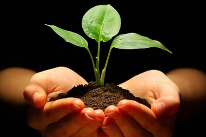 Hikmet Nedir? Bilgelik ve İçsel Aydınlanma Yolu