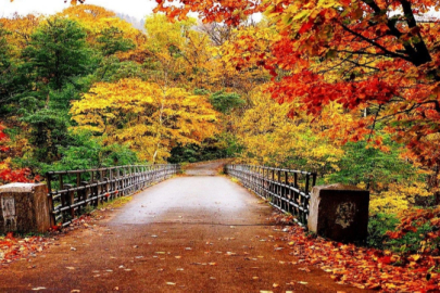 Payız ne demek? İşte bu kelimeyi ilk kez duyacaksınız!