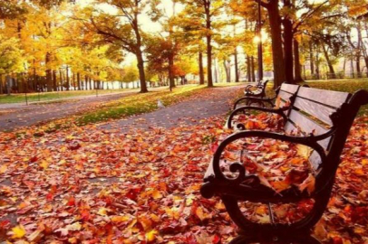 Payiz ne demek? Mevsimlere ilişkin bilmediğiniz bir kelime