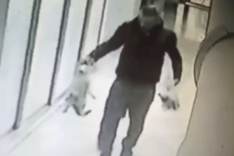 İzmir'de vahşet! Kedileri toplayıp, evinde öldürdükten sonra bahçeye attı