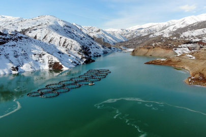 Erzincan'ın Göyne Sulama Barajı, Kışın Soğuk Eliyle Buzla Dans Ediyor!