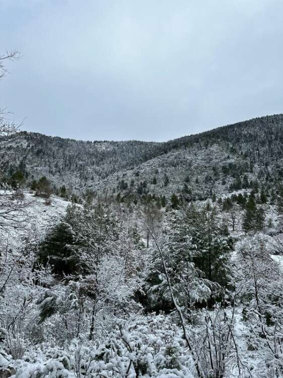 Gazipaşa kırsalı beyaza büründü
