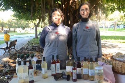 “Yeryüzü Pazarı” kuruldu