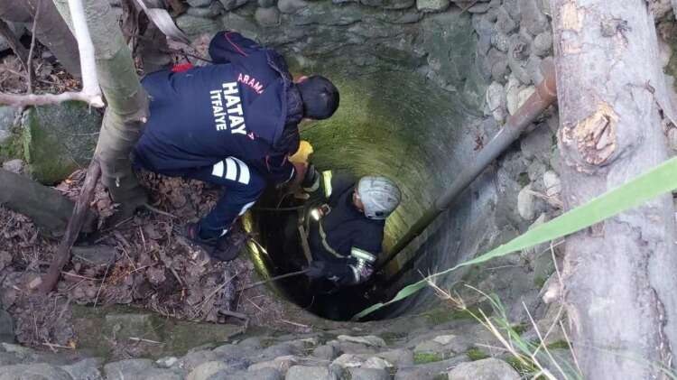 Arsuzlu itfaiye ekipleri, kuyuya düşen yavru köpeği kurtardı