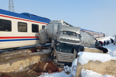Muş'ta Hayvan yüklü tıra tren çarptı: Ölü ve yaralılar var