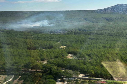 Manavgat'ta orman tehlikesi: Yakılan lastikler itfaiye tarafından söndürüldü