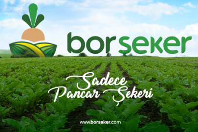 Bor Şeker'in halka arz talebinde son gün