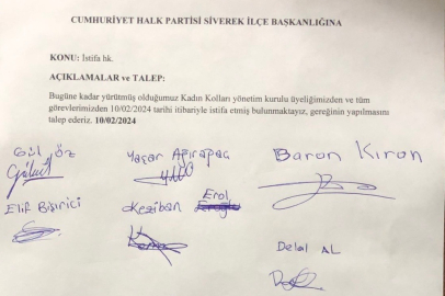 Siverek'te CHP kadın ve gençlik kolları yönetimi topluca istifa etti
