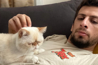 Adana'da eski sevgilisinin kedisini çaldığını iddia eden genç her yerde kedisi 'Patates' i arıyor