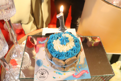 Hatay'daki çift, sokak hayvanları için farkındalık oluşturdu