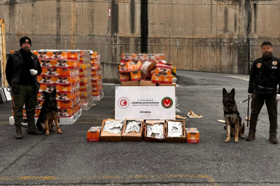 İstanbul Ambarlı Limanında büyük yasaklı madde  operasyonu