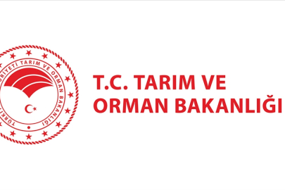 KPSS 2024-4 Tercih sonuçları açıklandı: Tarım ve Orman Bakanlığı personel alım sonuçları açıklandı