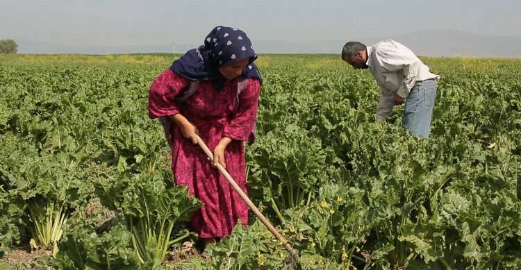 Tarım ve Orman Bakanlığı kura çekimi ne zaman? 2024 Tarım ve Orman Bakanlığı kuraları hangi kanalda?
