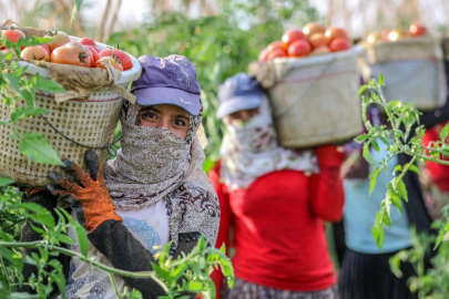 Tarım ve Orman Bakanlığı kura çekimi ne zaman? 2024 Tarım ve Orman Bakanlığı kuraları hangi kanalda?