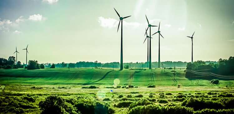 TS EN ISO 50001 Enerji Yönetim Sistemi